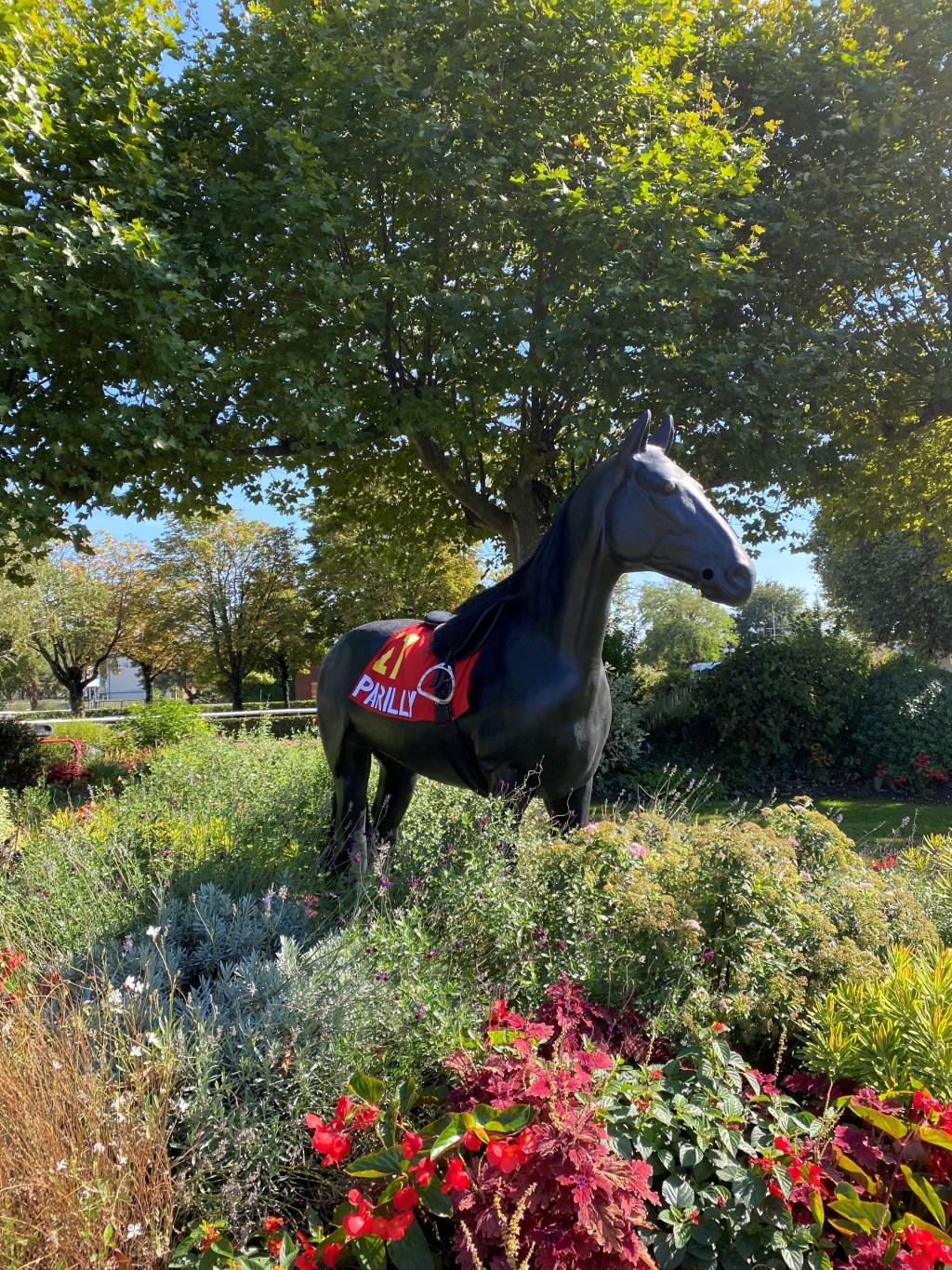 Visite aux Hippodromes de Lyon –&nbsp;Parilly