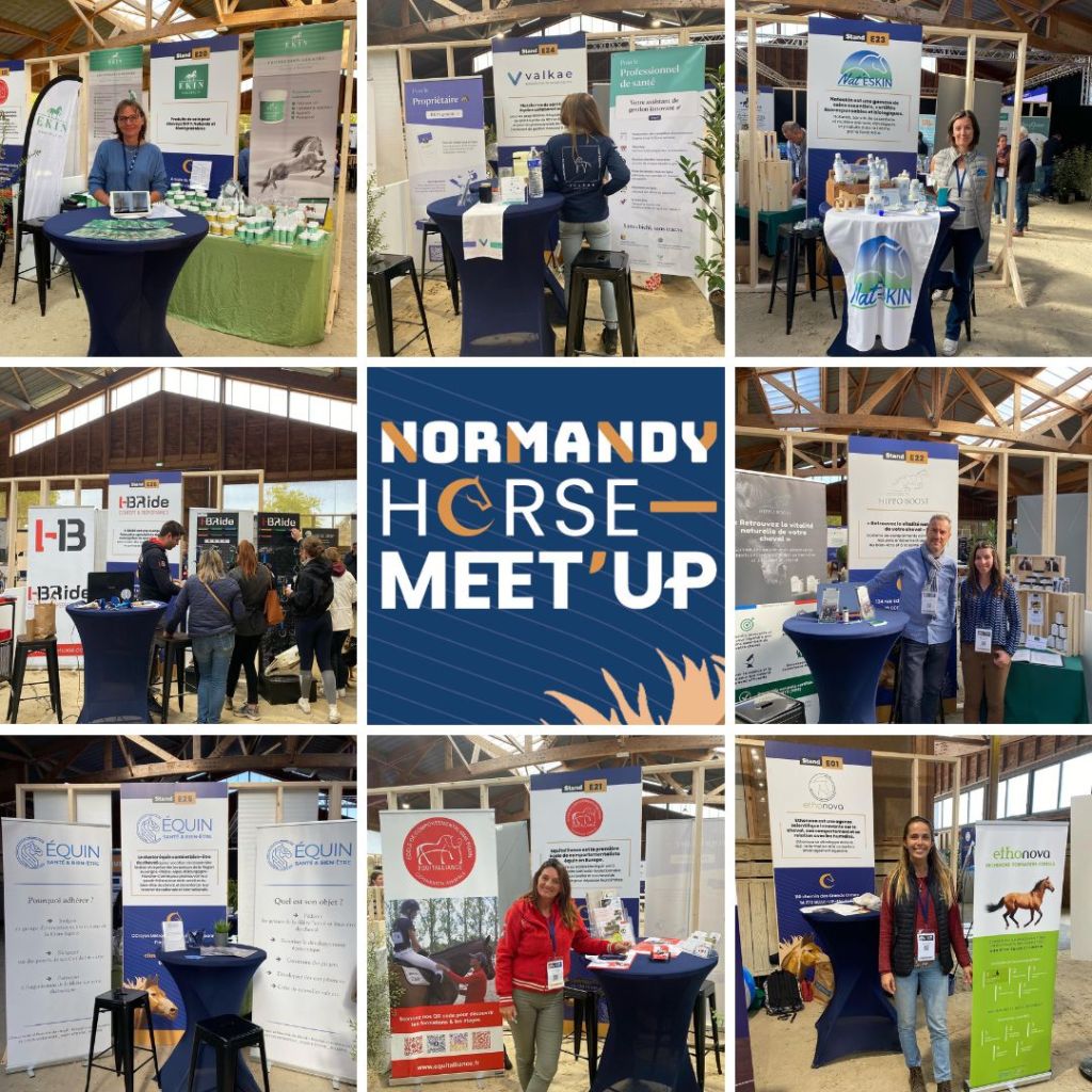RETOUR SUR LE NORMANDY HORSE MEET&nbsp;UP